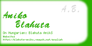 aniko blahuta business card
